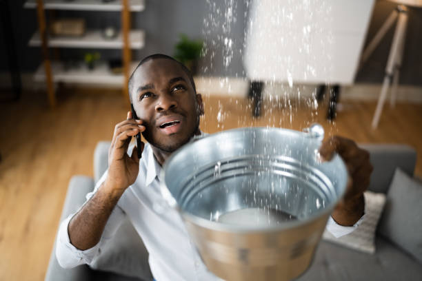 Best Water damage restoration company  in Dunedin, FL