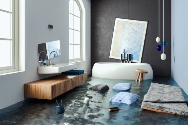 Best Professional water damage repair  in Dunedin, FL