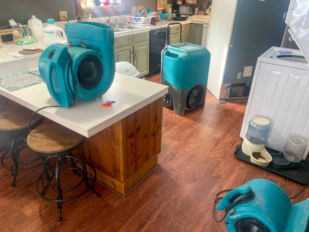 Best Ceiling water damage repair  in Dunedin, FL