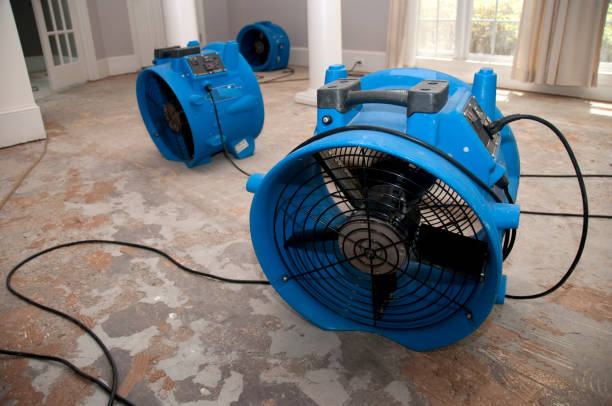 Best Flood restoration services  in Dunedin, FL