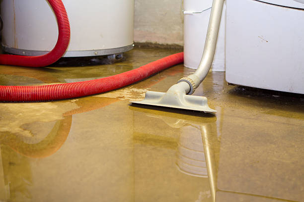 Best 24/7 water damage repair  in Dunedin, FL