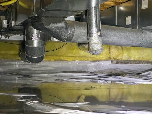 Best Water damage restoration near me  in Dunedin, FL