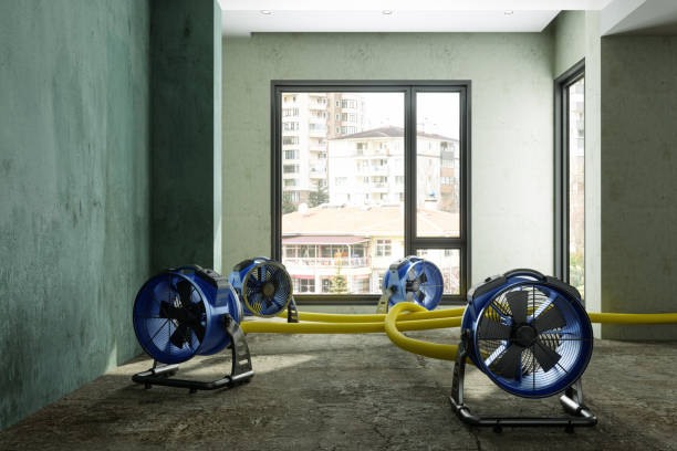  Dunedin, FL Water damage restoration Pros