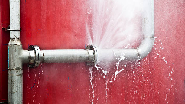 Best Sewage cleanup and water damage restoration  in Dunedin, FL
