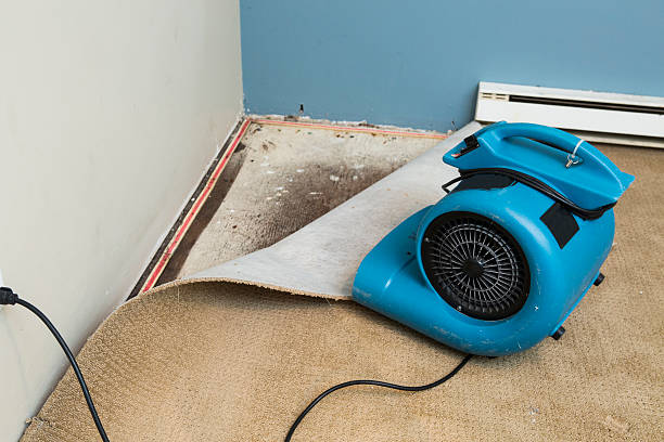 Reliable Dunedin, FL Water damage restoration Solutions